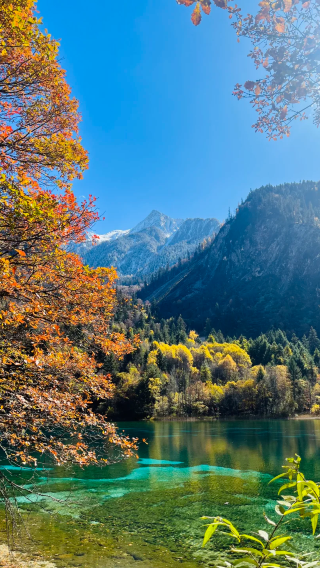 7D6N • Chengdu + Chongqing + Jiuzhaigou + Huanglong National Scenic Area