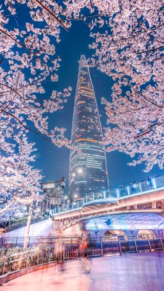 2D1N • South Korea + Seoul