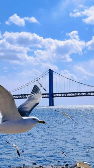 6D5N • Dalian + Lvshunkou District + Dalian Golden Pebble Beach National Tourism Resort + Dalian Laohutan Ocean Park + Bangchui Island