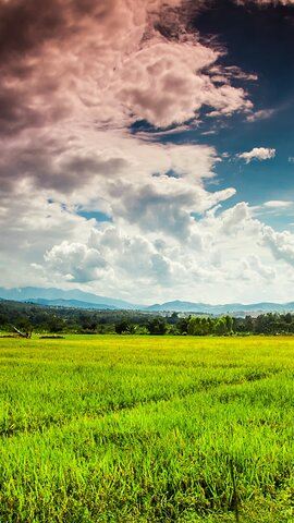 10D9N • 10 Day Motorcycle Tour (Amazing Thailand) from Chiang Mai