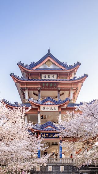 3D2N • Wuxi: Nianhua Bay + Huishan Ancient Town + Tai Hu Yuantouzhu Scenic Spot
