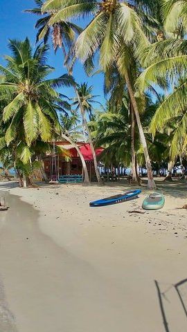 3D2N • San Blas 3D/2N Over-Water Cabin + Meals & Island Boat Tour
