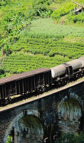 8D7N • 8 Days tour in Sri Lanka with privet driver and accommodations