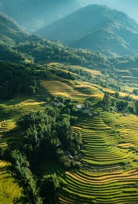 2D1N • [Private] Hill tribe & Rice terraces - 2 days 1 night
