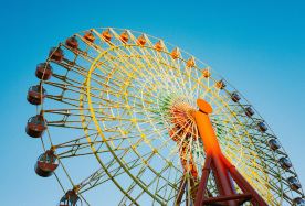 6D5N · Private Tours · Kansai Japan Muslim Friendly Halal Tour · Osaka Kyoto Nara Kobe with Masjid Visits & Halal Meal Recommendations · Discover Osaka Castle Park, Dotonbori, Arashiyama Bamboo Forest, Fushimi Inari Taisha, Nara Park and Kobe Muslim Mosque with comfortable Muslim-friendly travel arrangements.