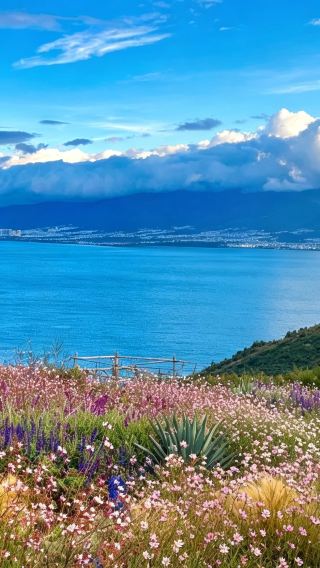 6D5N • Lijiang + Dali + Shangri-La: Tiger Leaping Gorge + Potatso National Park + Xizhou Ancient Town + Yulong Snow Mountain Glacier Park: complimentary Doujia doll & Tangka handcraft gift