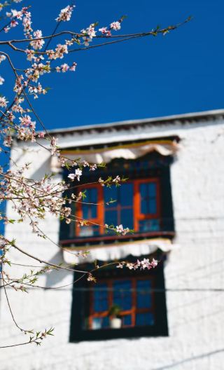 6D5N • TibetLhasa + Shigatse + Potala Palace + Jokhang Temple + Yamdrok Yumtso + Karola Glacier + Tashilhunpo Monastery