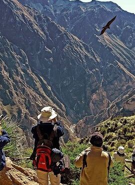 2D1N • Package 2 days Puno Colca Arequipa Canyon