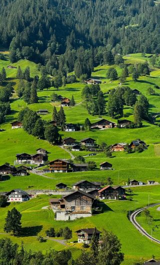 6D5N • France+Switzerland+Italy In-depth Tour, 4-Star Hotel Accommodation,Cypress Path+Lungern Town+Official guided tours of the Louvre+Palace of Versailles in Paris