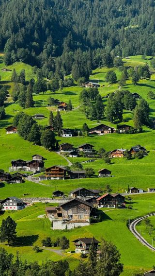 6D5N • France+Switzerland+Italy In-depth Tour, 4-Star Hotel Accommodation,Cypress Path+Lungern Town+Official guided tours of the Louvre+Palace of Versailles in Paris