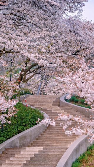 10D9N • Shanghai + Shanghai Disney Resort + Lingshan Grand Buddha + Huqiu Scenic Area + Xitang Historic Town of China + West Lake + Huangpu River Cruise
