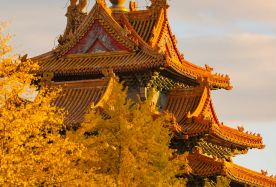 4D3N · Group Tours · Gathering Autumn Charms in Beijing-12-person small group · taste authentic Beijing-style cuisine · stay at the 5-star international-brand hotel - JW Marriott Hotel Beijing · 12-Person Group Visit Tian'anmen Rostrum or a Museum + Early Reservations for a Worry-Free Forbidden City Tour. Stay at the international-brand hotel - JW Marriott hotel Beijing. Taste Peking Duck.