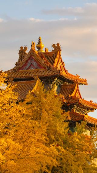 3D2N • Moonlight Tints Beijing's autumn-12-person small group · taste authentic Beijing-style cuisine · stay at the 5-star international-brand hotel - JW Marriott hotel Beijing