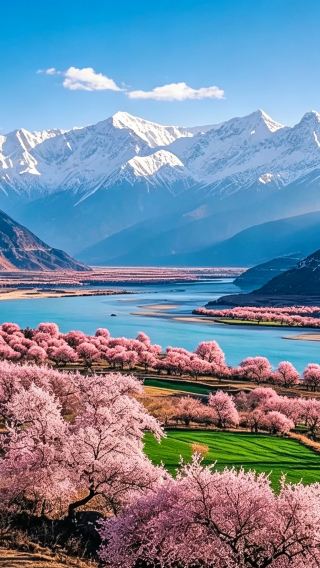 5D4N • Nyingchi + Bome + Laigu Glacier + Mount Namcha Barwa + Gangpicea Forest