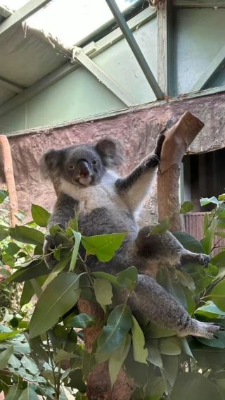 3D2N • Kuranda Rainforest + Great Barrier Reef Cruise + Cairns