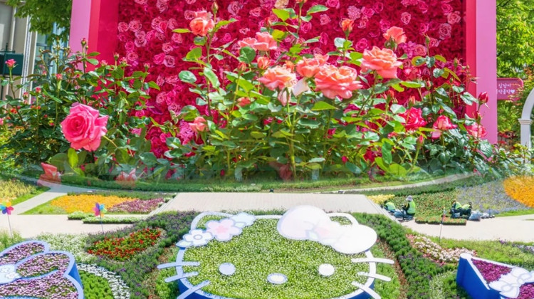 image_grid_sub1