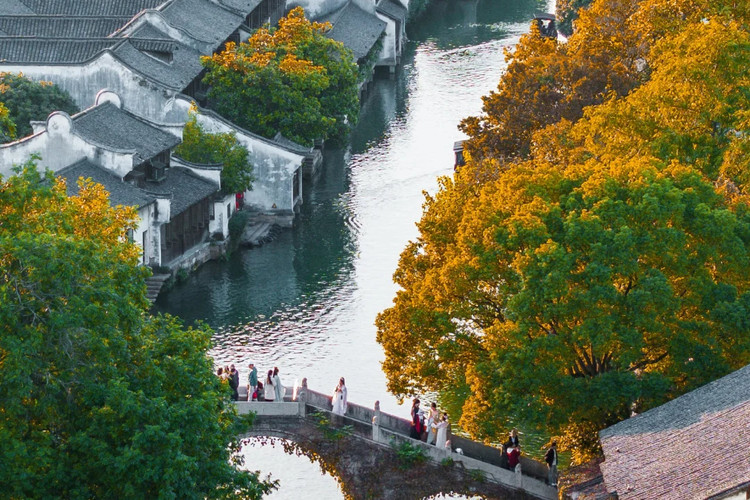 image_grid_main