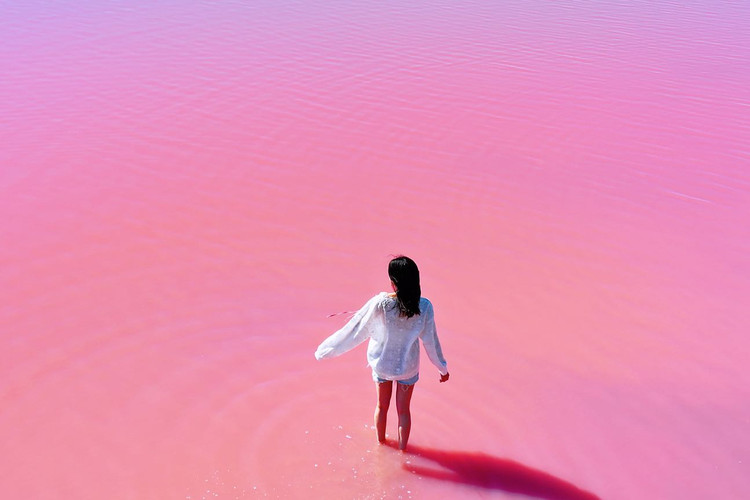 image_grid_main