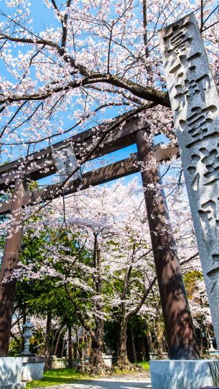 3天2晚 • 日本河口湖＋富士山