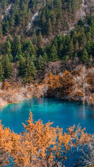 8D7N • Best of Sichuan & Chongqing: Panda + 3 UNESCO Wonders: Jiuzhaigou, Huanglong, Wulong Karst, with ample time for Chongqing city tour, airport transfer included