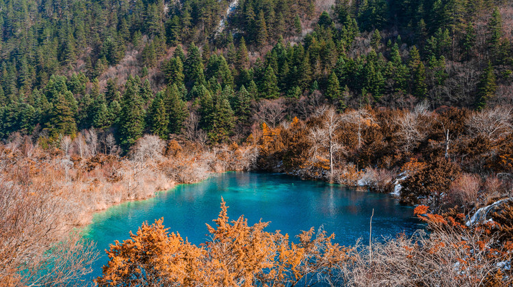 image_grid_sub2