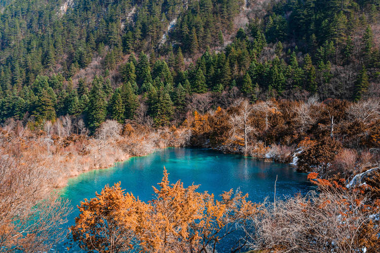 image_grid_sub2