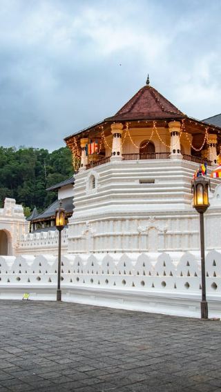 9D8N • Ceylon: 9-Day Budget Hill Country & Tropical Beach Honeymoon
