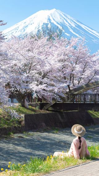 5日4晚 • 日本東京＋富士山  富士山周邊精華巡禮「五合目＋忍野八海＋御殿場奧特萊斯」專車接送機｜賞富士盛景、遊天然清泉、淘大牌好物