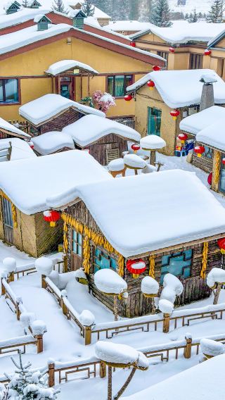 3日2晚 • 雪鄉國家森林公園＋亞布力滑雪 ｜含金牌導遊·零小費·零購物