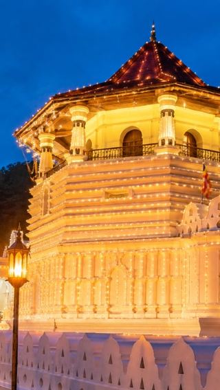 8D7N • Colombo to Galle: 2 to 11-Day Tour via Ella & South Coast