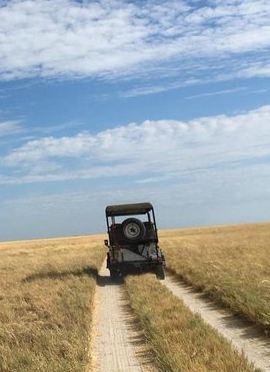 2D1N • Makgadikgadi Pans Overnight:sleep under the stars| from kasane