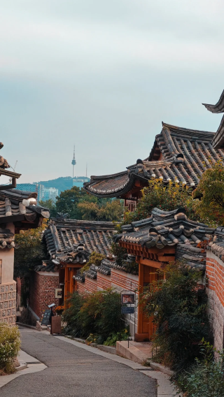 6D5N • South Korea is a great travel destination, Alpaca Park · Nami Island Lotte World