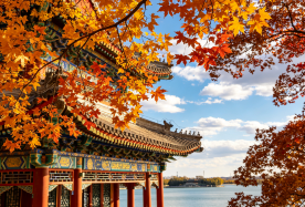 4D3N · Group Tours · Book 7 Days Early, Lock in Holiday Inn Express. In-depth Palace Museum Tour, Summer Palace, Western Ruins of Old Summer Palace, Temple of Heaven, optional Tiananmen Rostrum or museum visit · 3night stay at  Downtown business district hotel,  No shopping,  gratuities included.