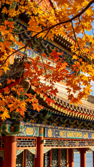 4D3N • Book 7 Days Early, Lock in Holiday Inn Express. In-depth Palace Museum Tour, Summer Palace, Western Ruins of Old Summer Palace, Temple of Heaven, optional Tiananmen Rostrum or museum visit