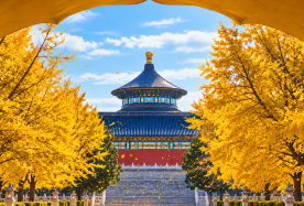 3D2N · Private Tours · Golden Beijing in autumn: hutong walk & Historic Palace · Private autumn routes from imperial gardens to hidden hutongs