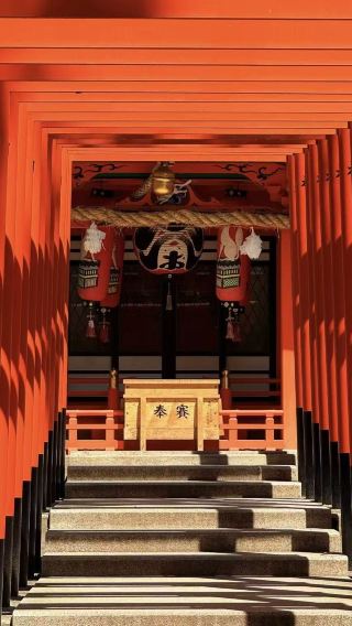 5D4N • Year Round Kansai Castle Tour: Castle Temple Shopping Experience + Kobe Osaka City Hotel Stay + Himeji Castle + Nara Park Landmarks + Momijidani Garden Season Highlight