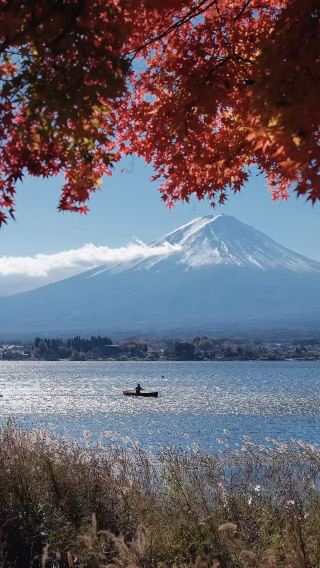 6D5N • Tokyo, Mt. Fuji & Hakone: Lake Kawaguchi, Oshino Hakkai, Lake Ashi Cruise, Senso-ji, Odaiba, Fuji Mountain & City Sightseeing Tour