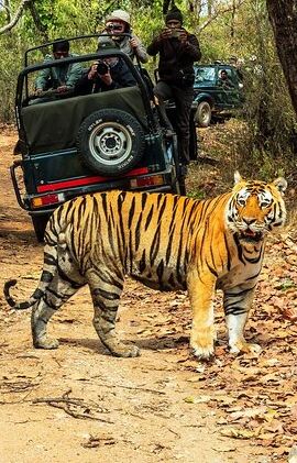 4D3N • Chitwan Jungle Safari 2/3/4 Day Tour from Kathmandu/Pokhara