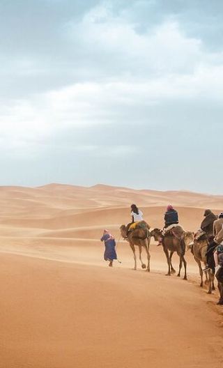 3D2N • 3 Day Marrakech to Merzouga Desert Tour Camel Rides and Overnight