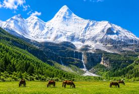 8D7N · Group Tours · Chengdu + Daocheng Yading + Mount Siguniang + Western Sichuan+ +Stay Inside Yading Scenic Area ·Enjoy Starry Skies and Sunrise +Astronomical Telescope  & Tibetan Cultural  · Exclusive discount! Enjoy 4 nights' low-altitude stay and all scenic tickets. Onboard oxygen provided for a comfy journey. Experience Tibetan hospitality,mountain coffee and duo travel photography.