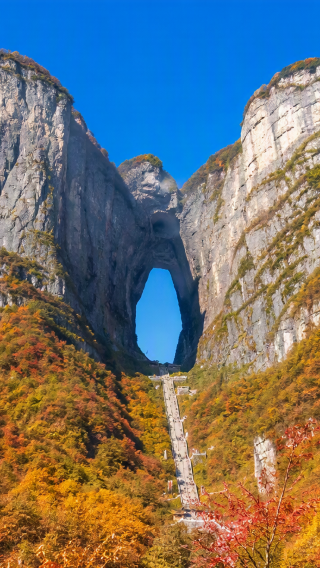 3D2N • Zhangjiajie Highlights: Avatar Mountains + Tianmen Mountain