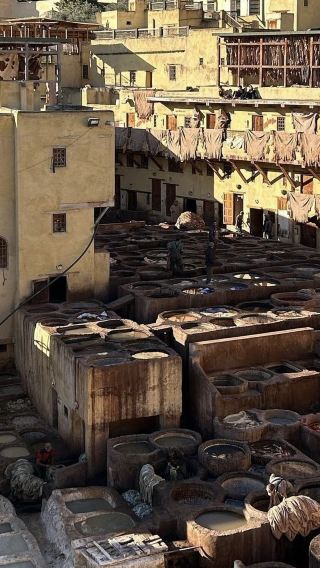 8D7N • Morocco