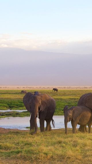 5D4N • Maasai Mara National Reserve + Lake Nakuru National Park + Lake Naivasha + Hells Gate National Park + Three national parks