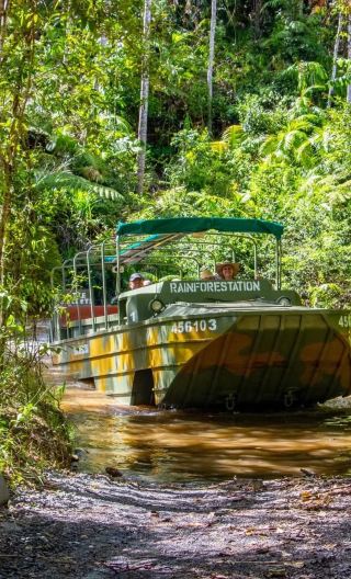 2D1N • Kuranda Rainforest + Great Barrier Reef Cruise, Australia