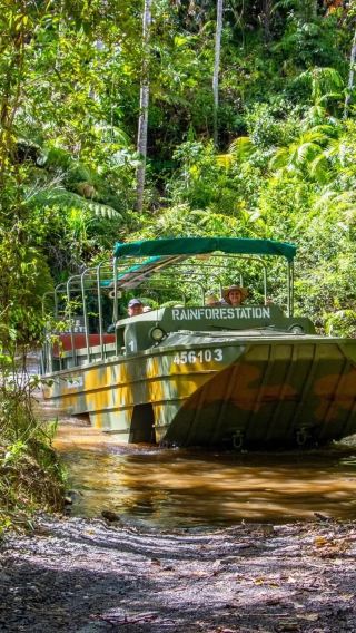 2D1N • Kuranda Rainforest + Great Barrier Reef Cruise, Australia