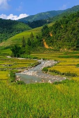 2D1N • 2 days authentic trekking tour in Sapa ( Homestay - Less touristy )