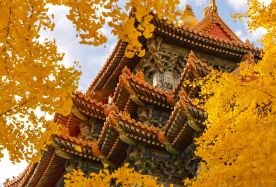 6日5晚 · 旅行團 · 秋季限定 · 早訂赠古北水镇门票｜紅牆金瓦間細品皇城秋韻，赏皇城四大經典景點 ｜搶先2環希爾頓花園｜自由活動日，盡享京城秋光·純玩