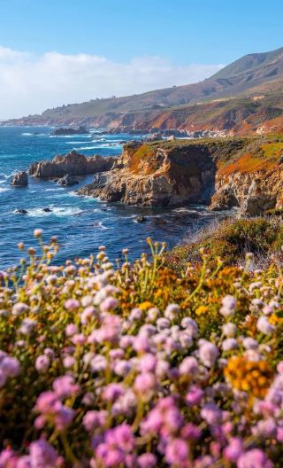 4D3N • Los Angeles + California Highway 1 Three-Day In-Depth Tour + Carmel-by-the-Sea Fairy Tale Town + 17-Mile Drive + San Francisco