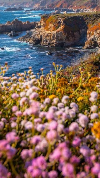 4D3N • Los Angeles + California Highway 1 Three-Day In-Depth Tour + Carmel-by-the-Sea Fairy Tale Town + 17-Mile Drive + San Francisco