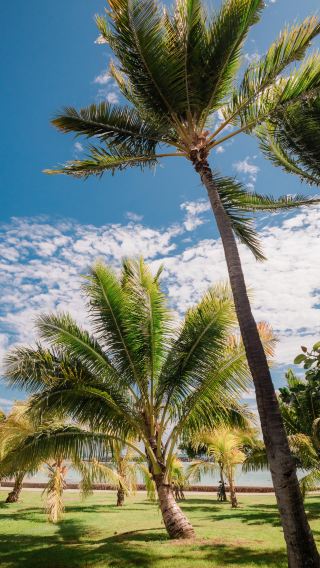 8D7N • Hawaii + Hawaii island